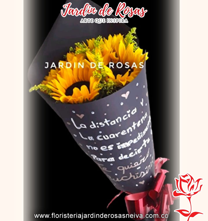 20032024_0014_rosa copia 47