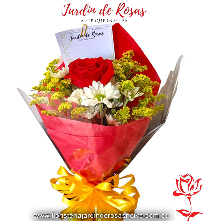 20032024_0053_rosa copia 87