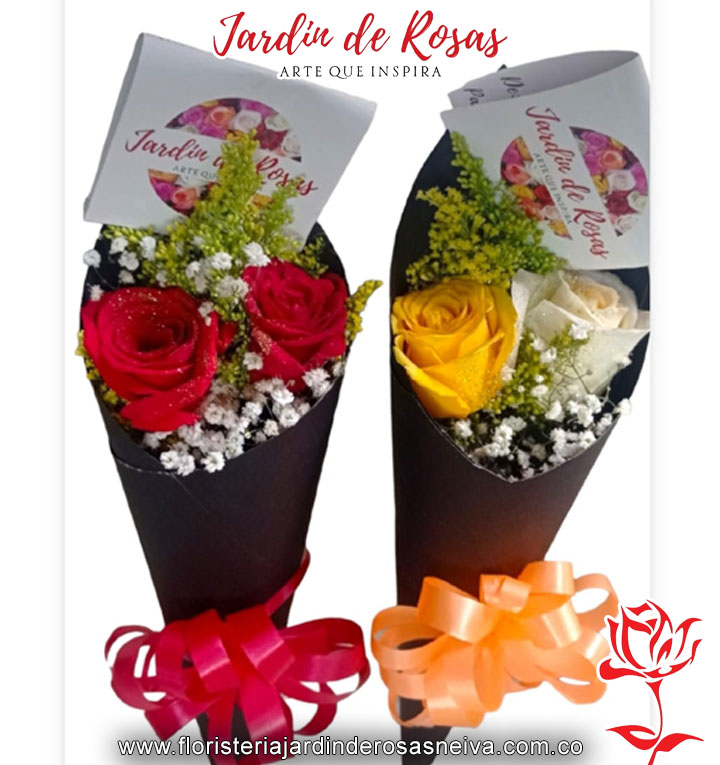 20032024_0059_rosa copia 94