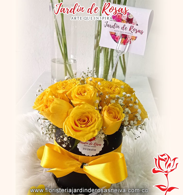 20032024_0100_rosa copia 130