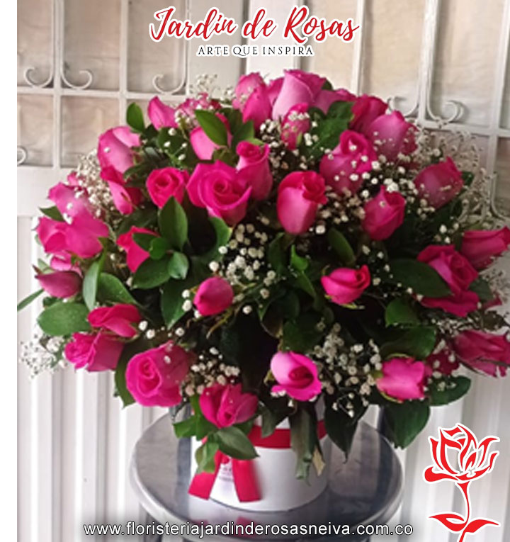 20032024_0175_rosa copia 207