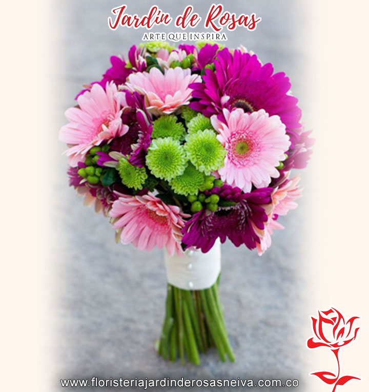 20032024_0188_rosa copia 221
