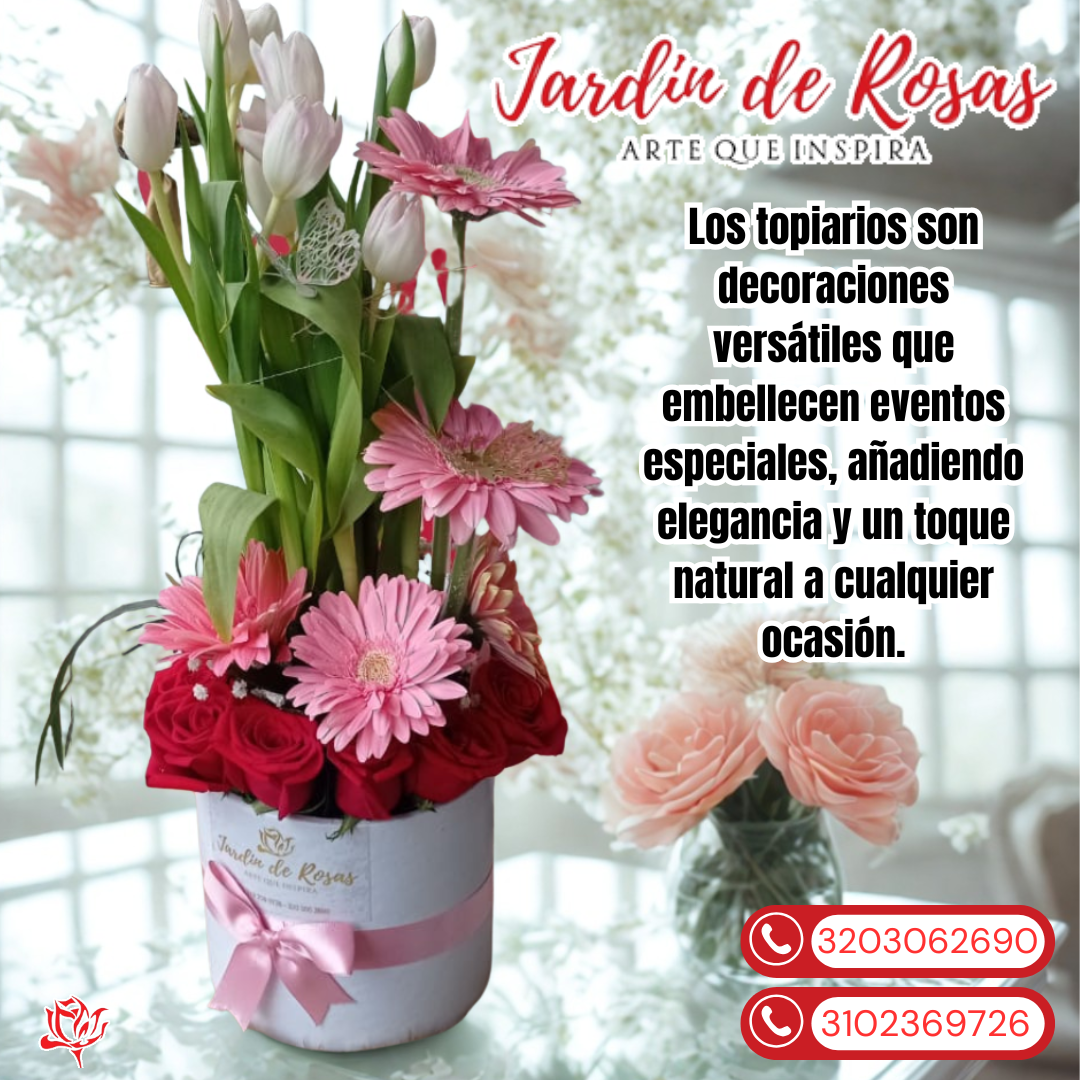 Jardín_20250715_221706_0000