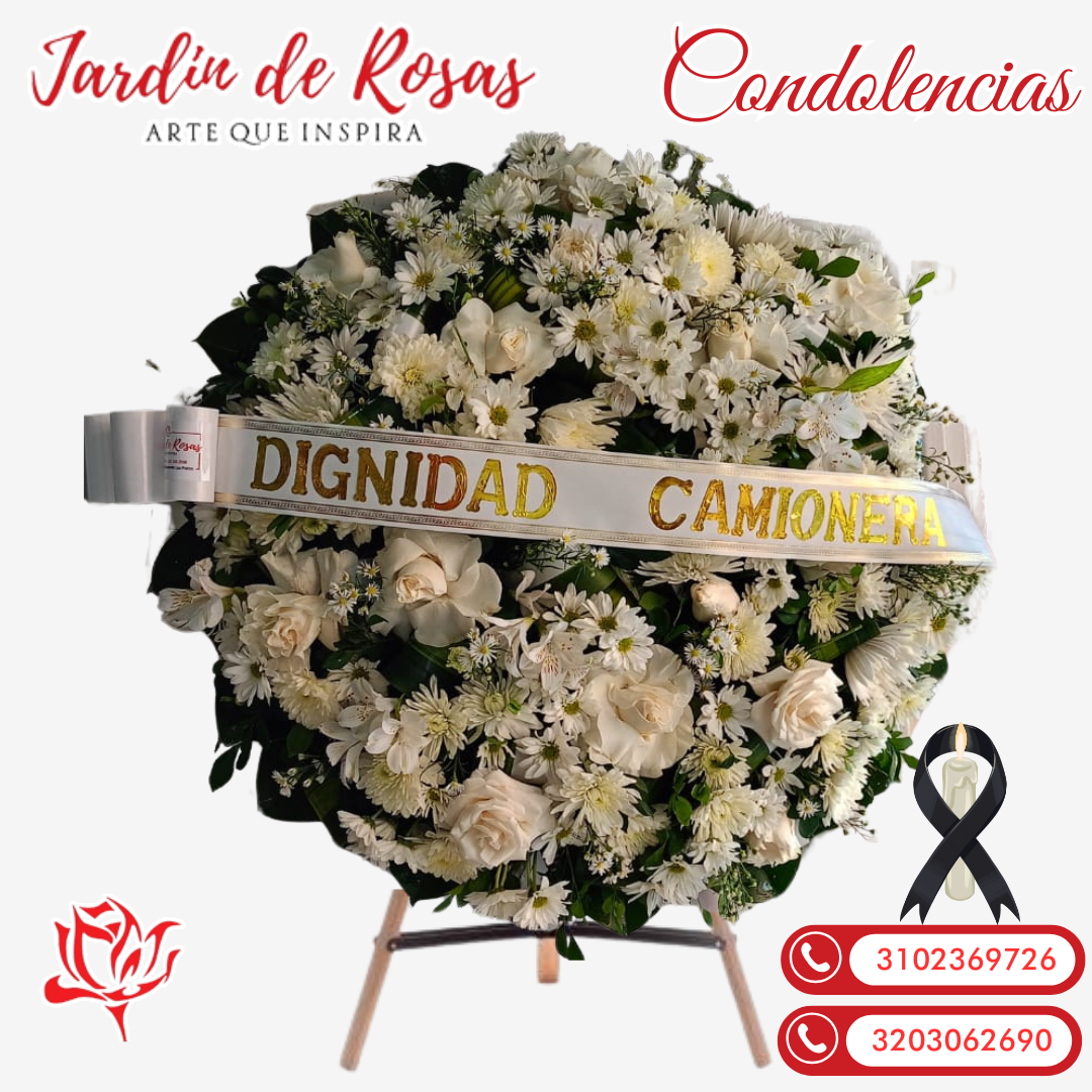 Jardín_20250728_071441_0000